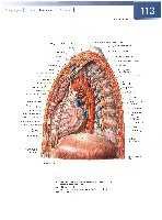 Sobotta  Atlas of Human Anatomy  Trunk, Viscera,Lower Limb Volume2 2006, page 120